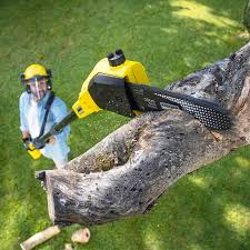 Best Lawn Watering Services  in El Cerro, NM